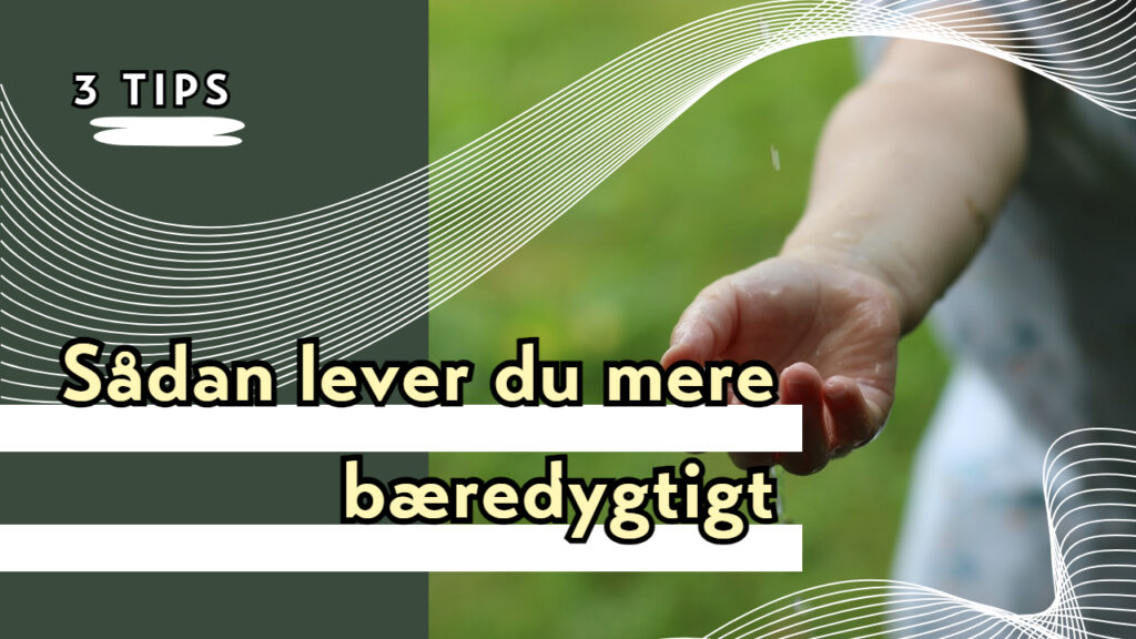 3 tips til at leve mere bæredygtigt